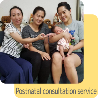 Postnatal consultation service